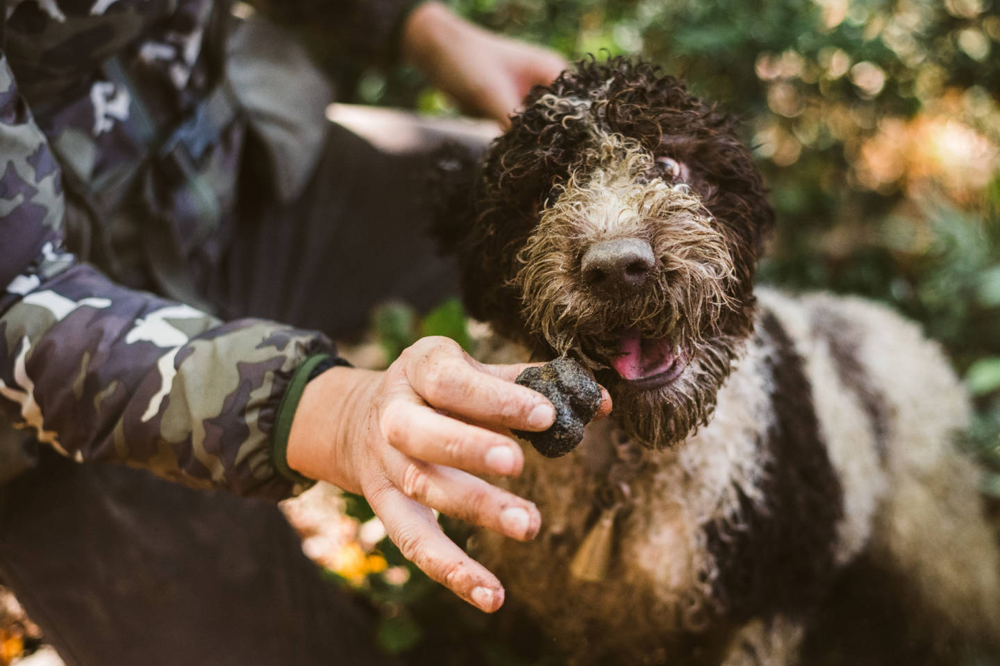 International Intrigue 2026