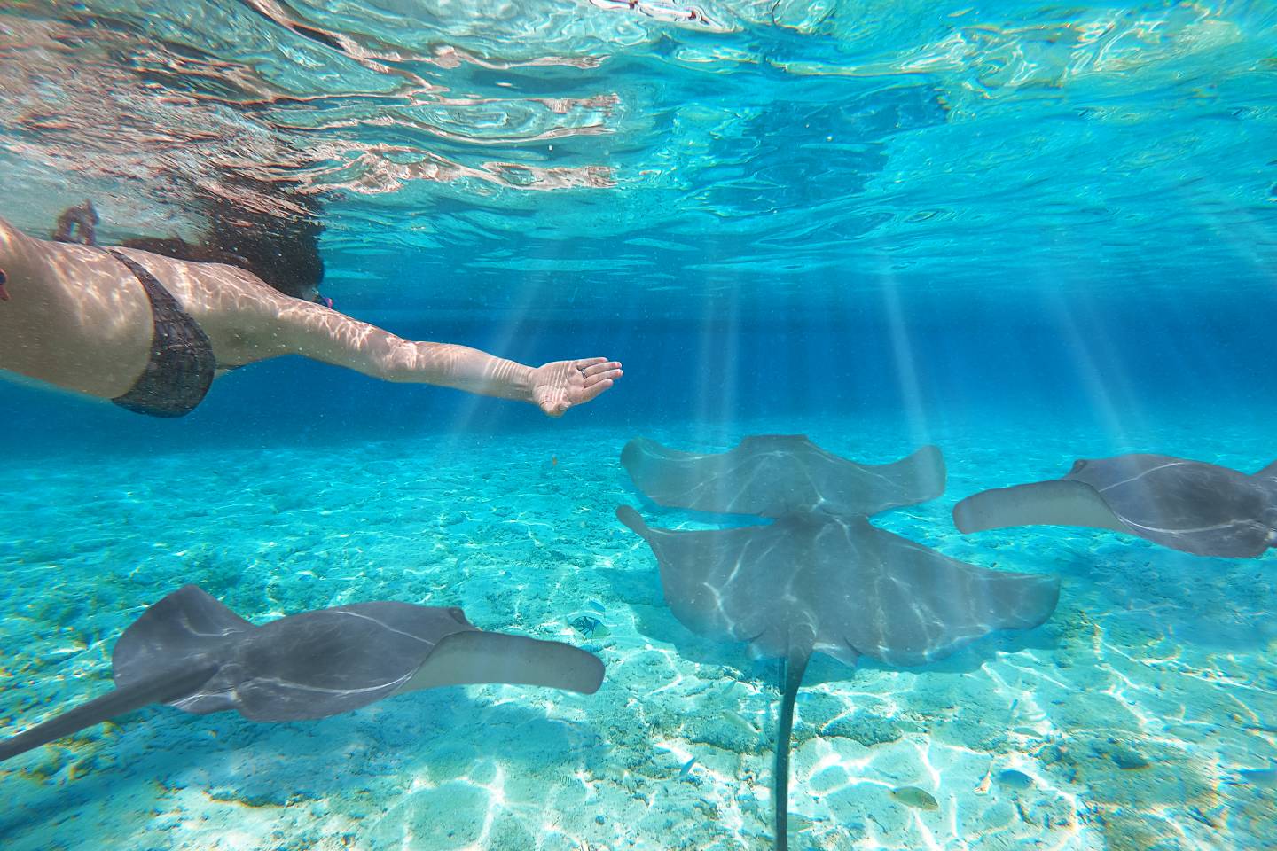 Islands of Polynesia by Private Air Sept 2026