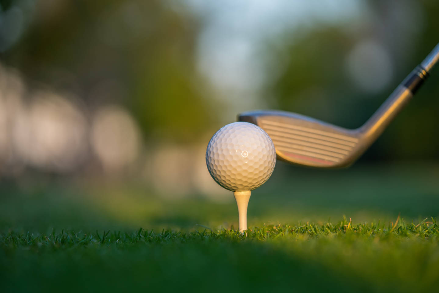 golf ball and driver close up