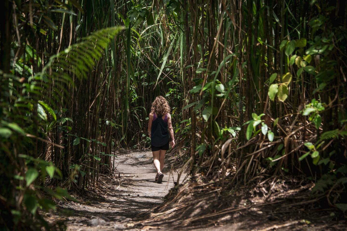 Arenal volcano hike, Costa Rica