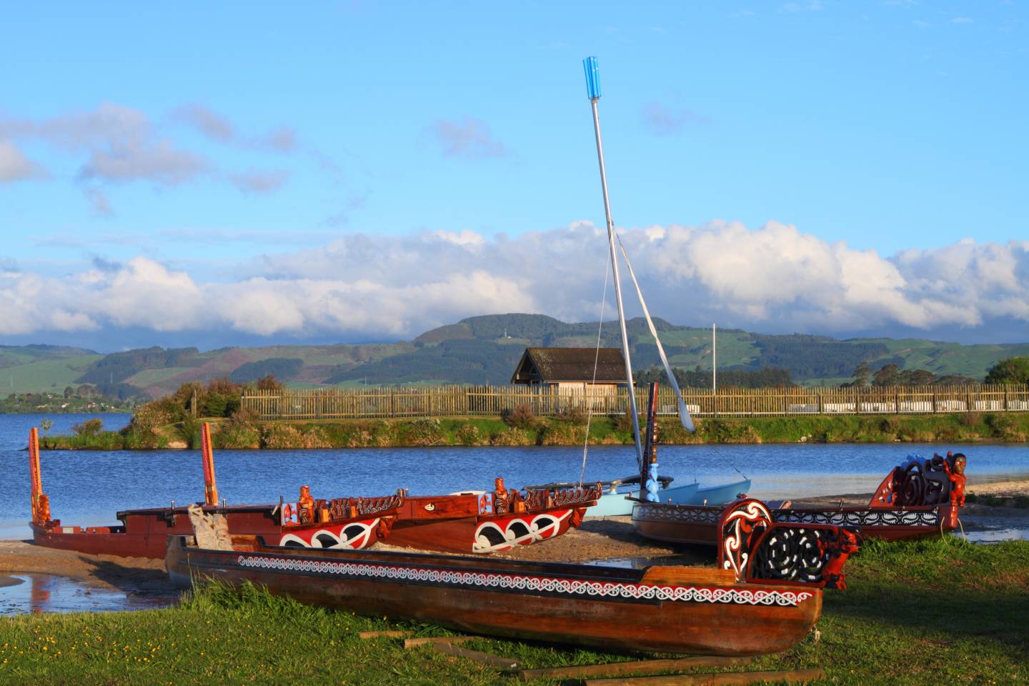 Traditional Maori wood carved canoes on the shore in New Zealand