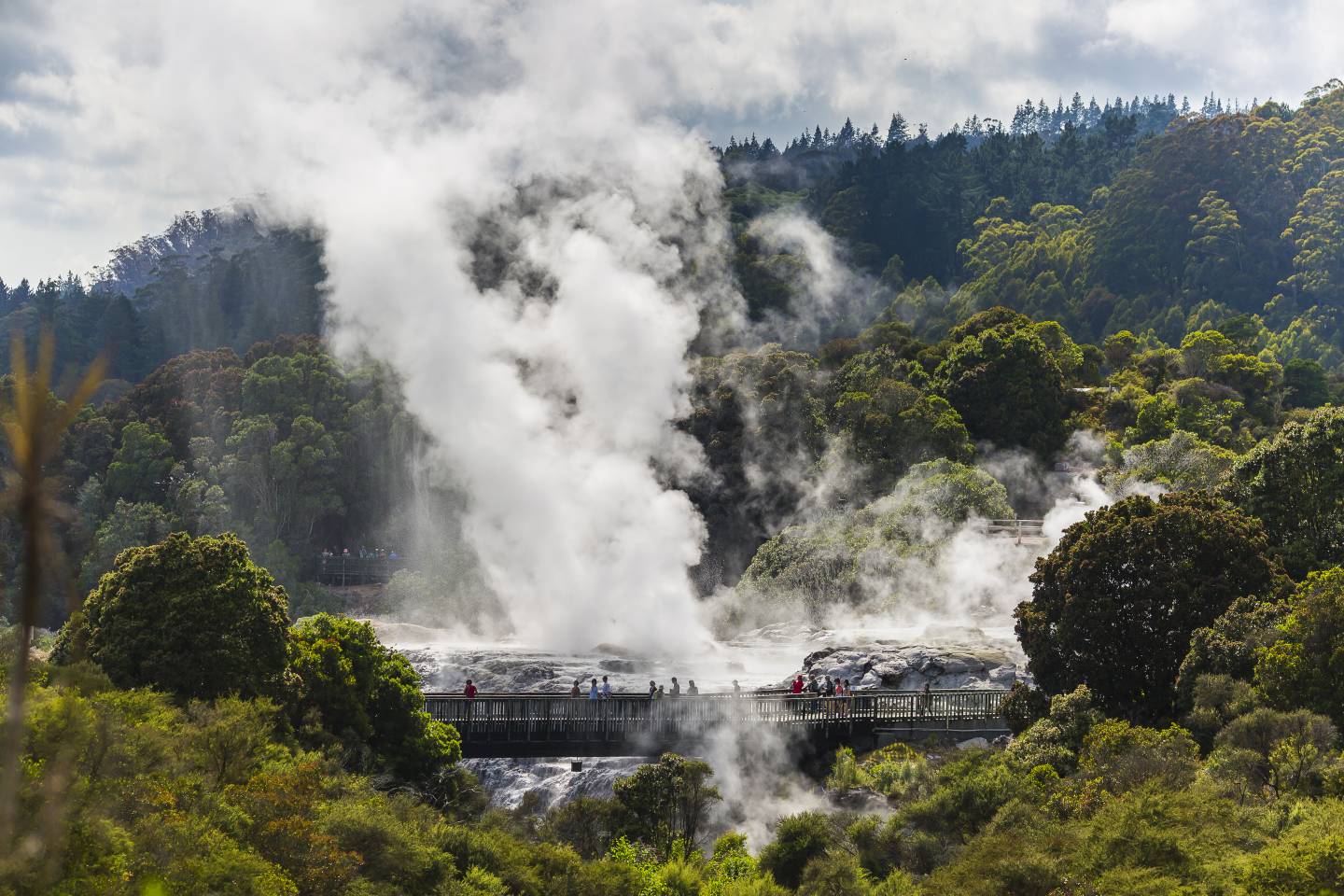 Rotorua Lakes