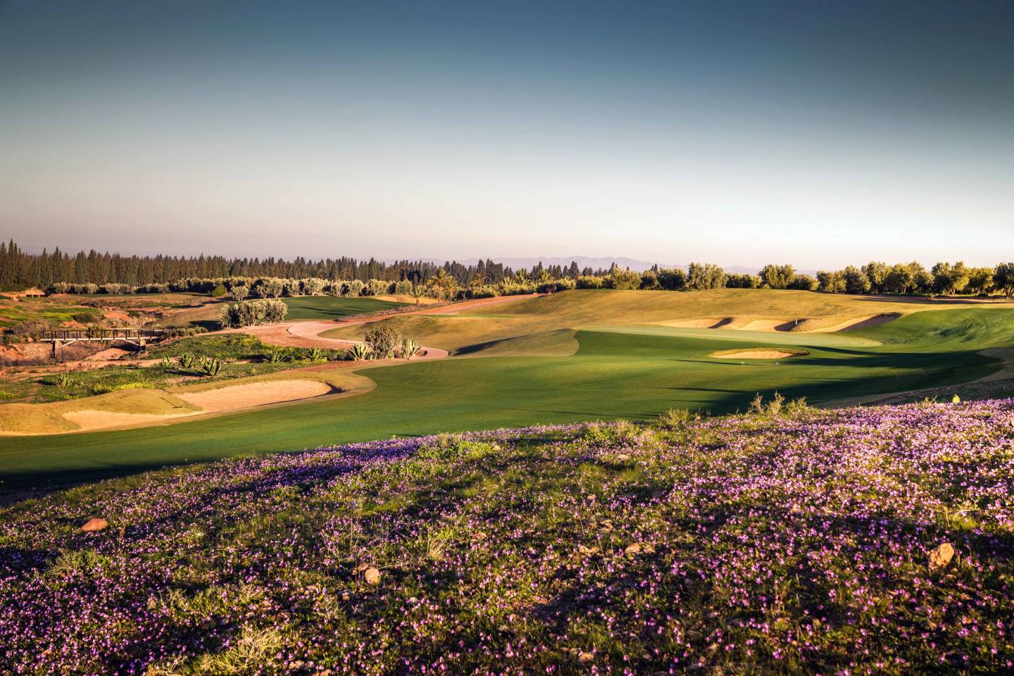 Marrakech golf court