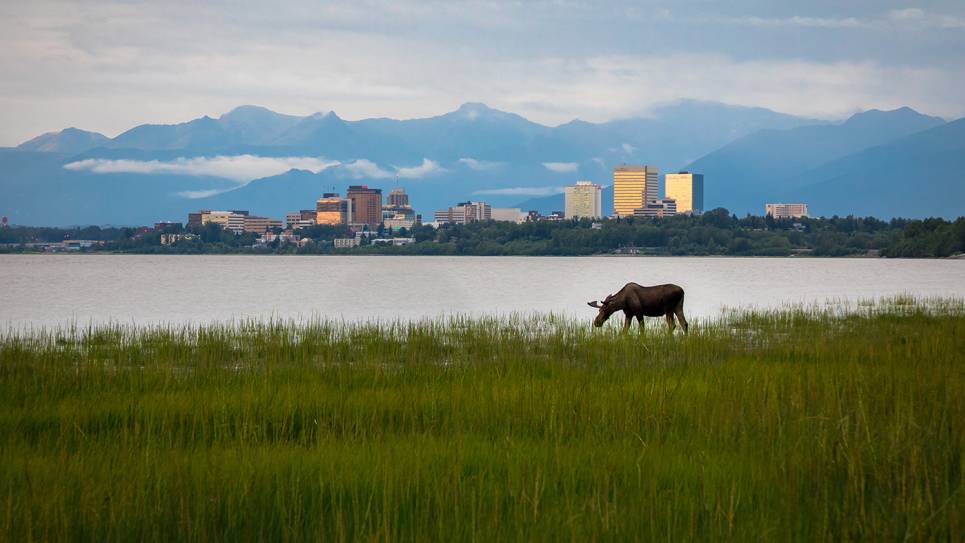 Japan’s Hidden Gems – Jun 2026