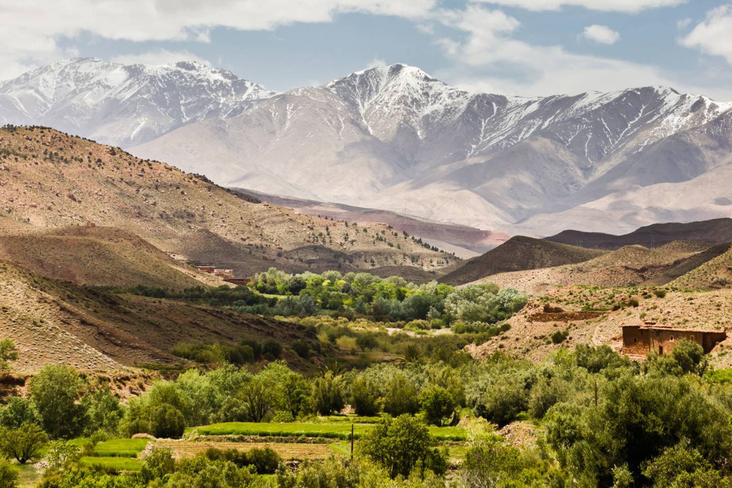 Golf Around the World 2026