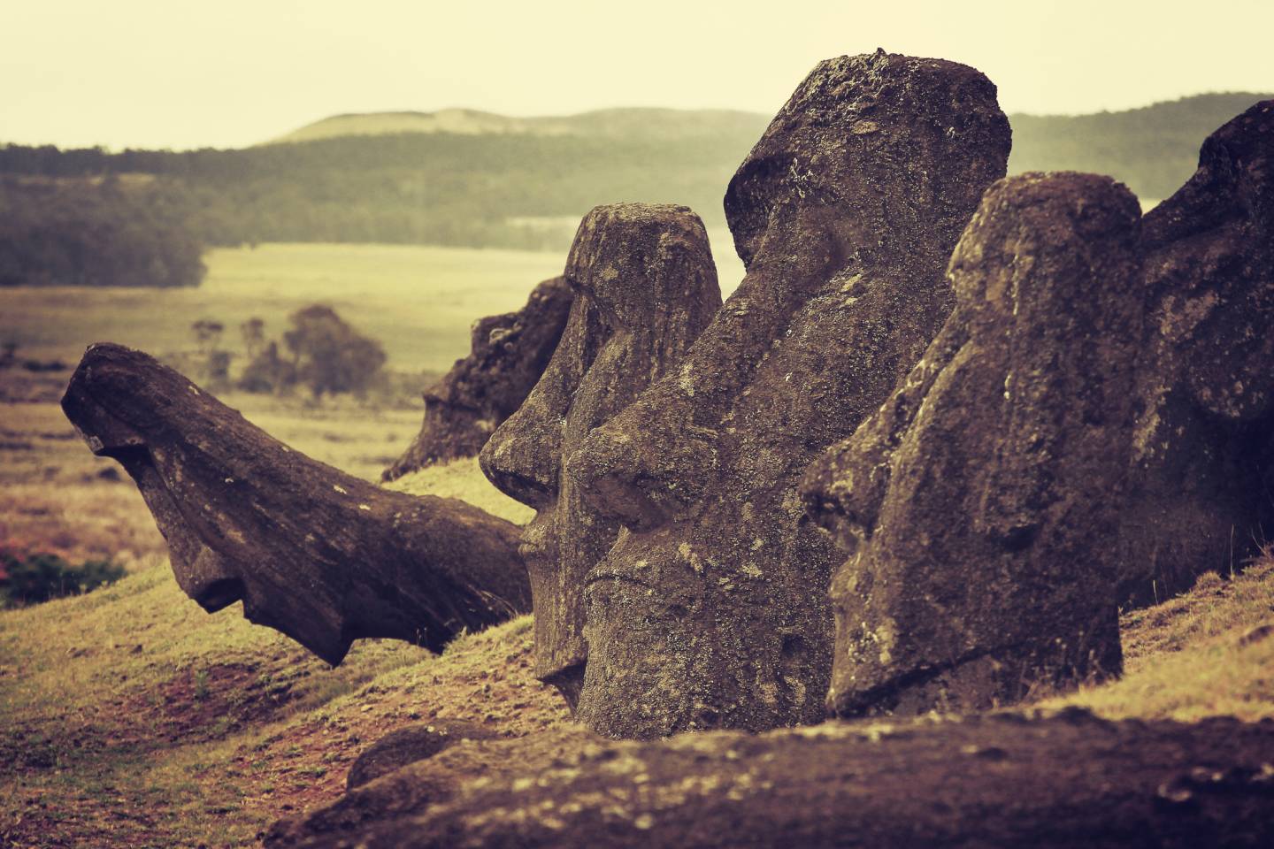 Ancient Explorer – March 4, 2026