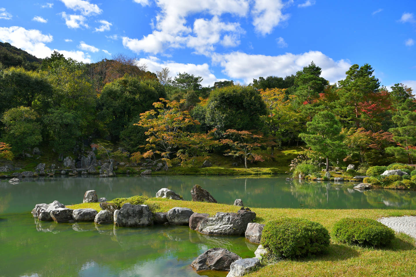 International Intrigue 2026