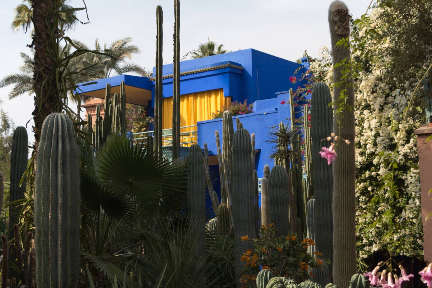 Around the World: A Luxury Tour By Private Jet – February 17, 2026