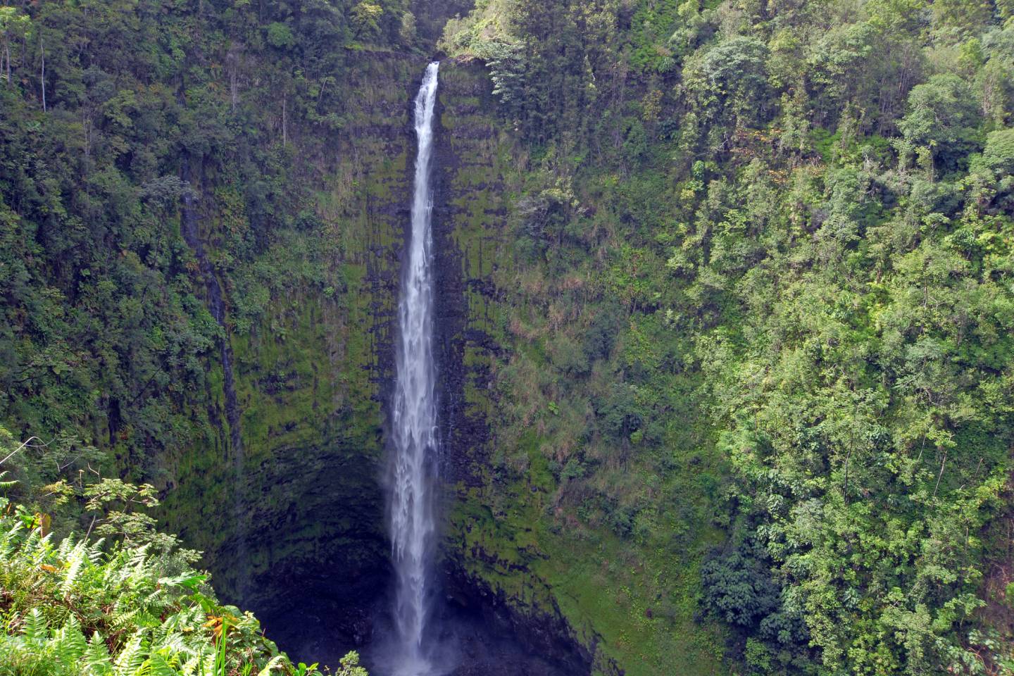 Timeless Encounters – February 2, 2026