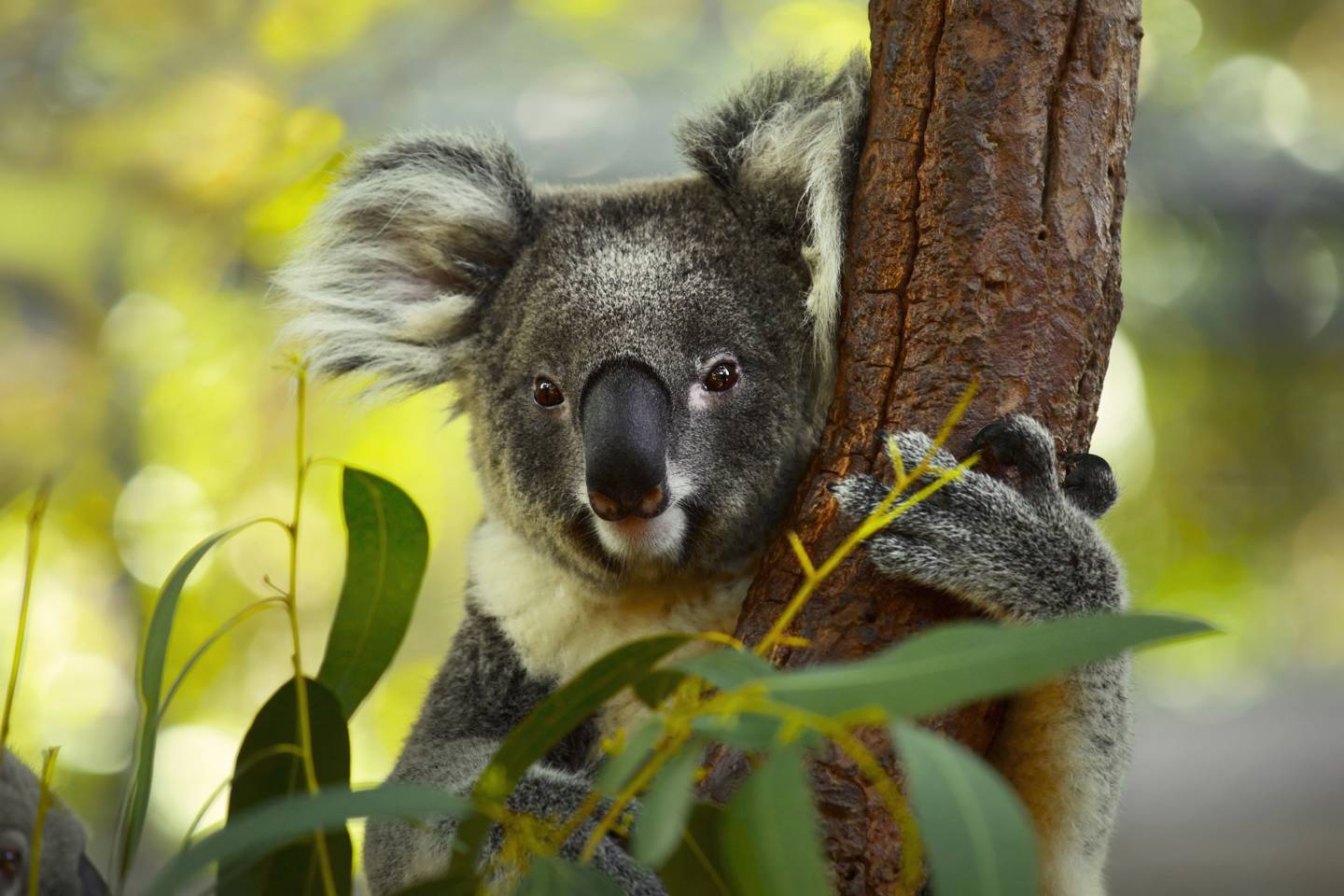 Timeless Encounters – February 2, 2026