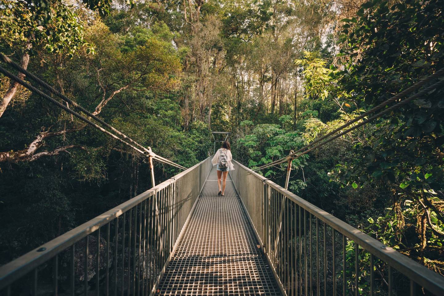 Ancient Explorer – March 4, 2026