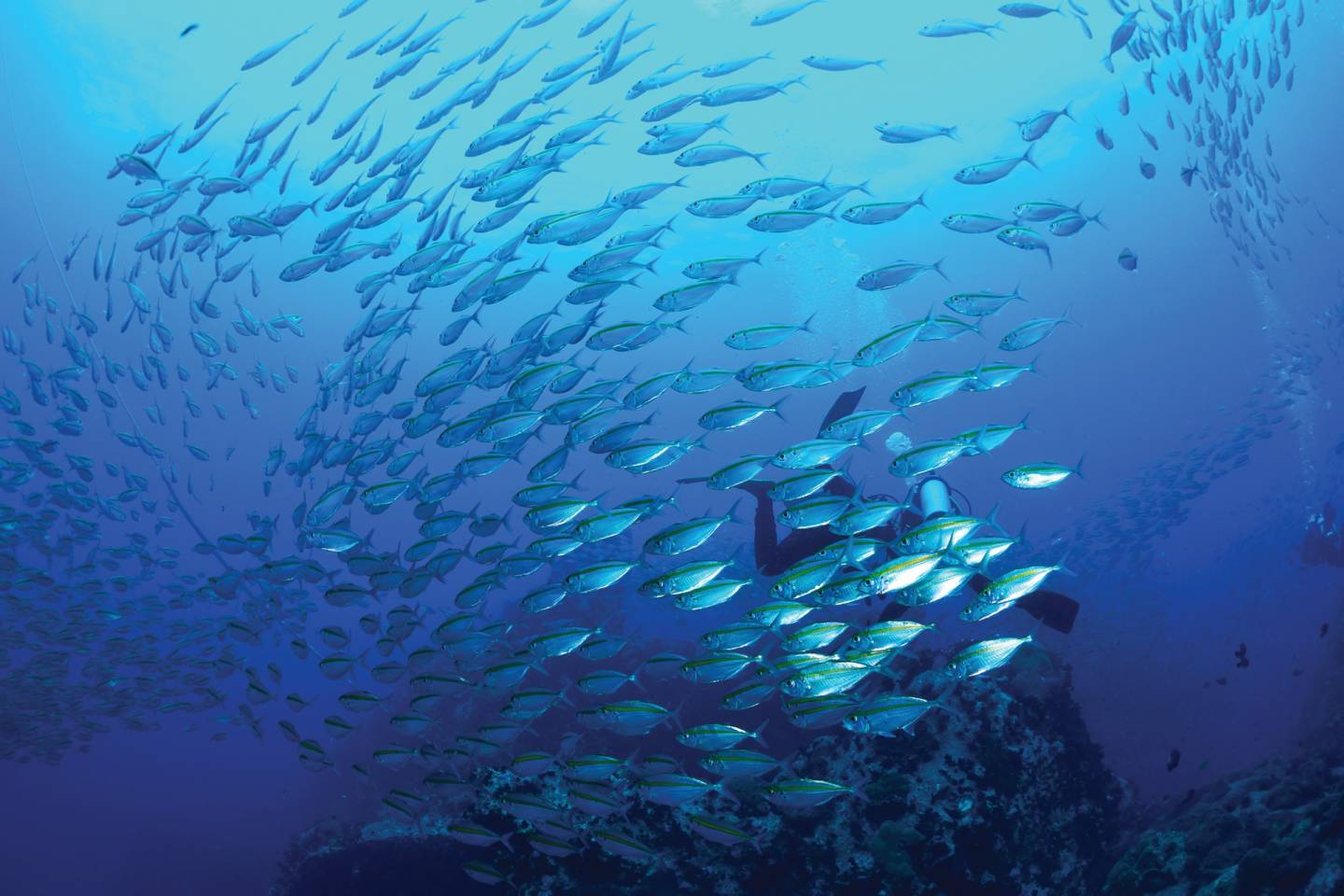 World of Wellness – May 2026