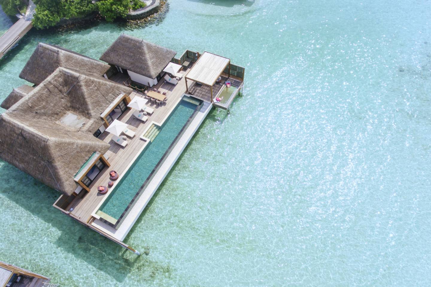 International Intrigue 2026