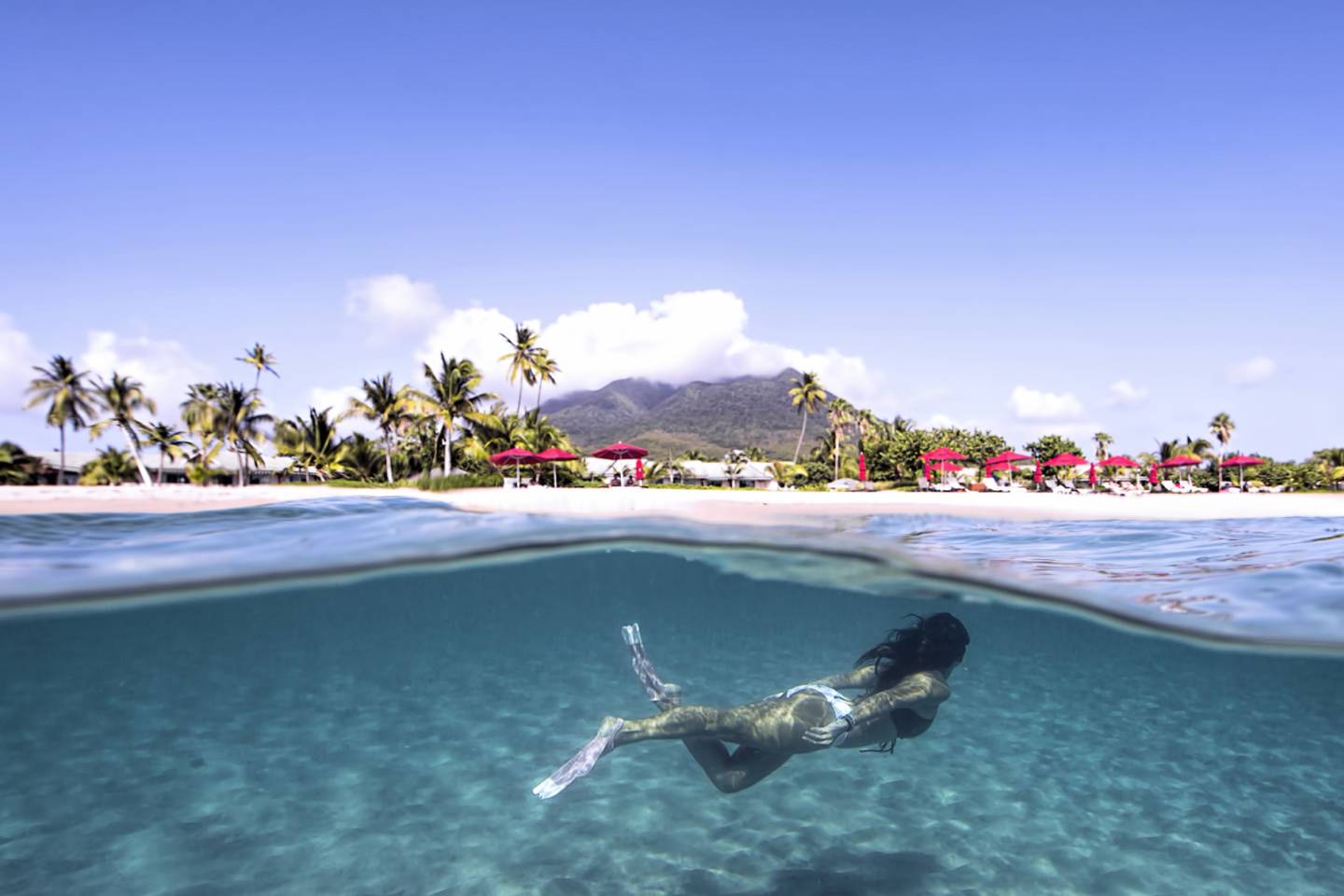 World of Wellness – May 2026