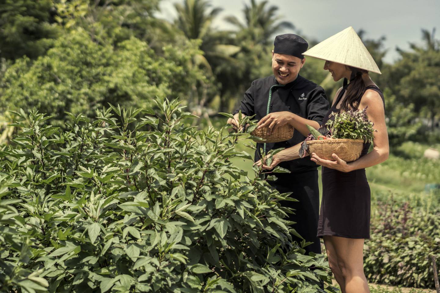 Golf Around the World 2026