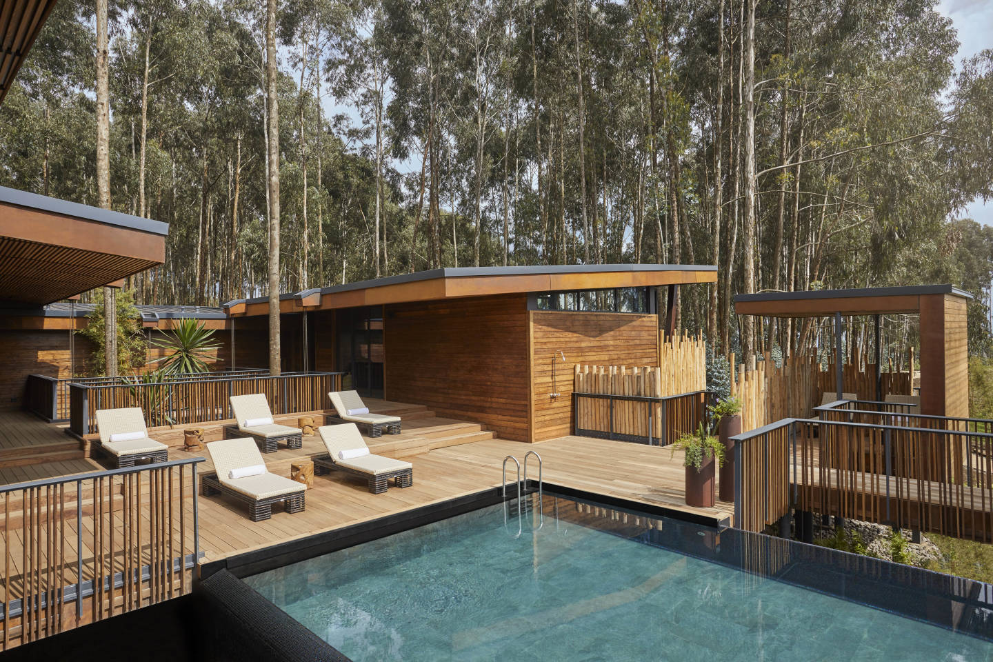 One&Only Gorilla's Nest Rwanda