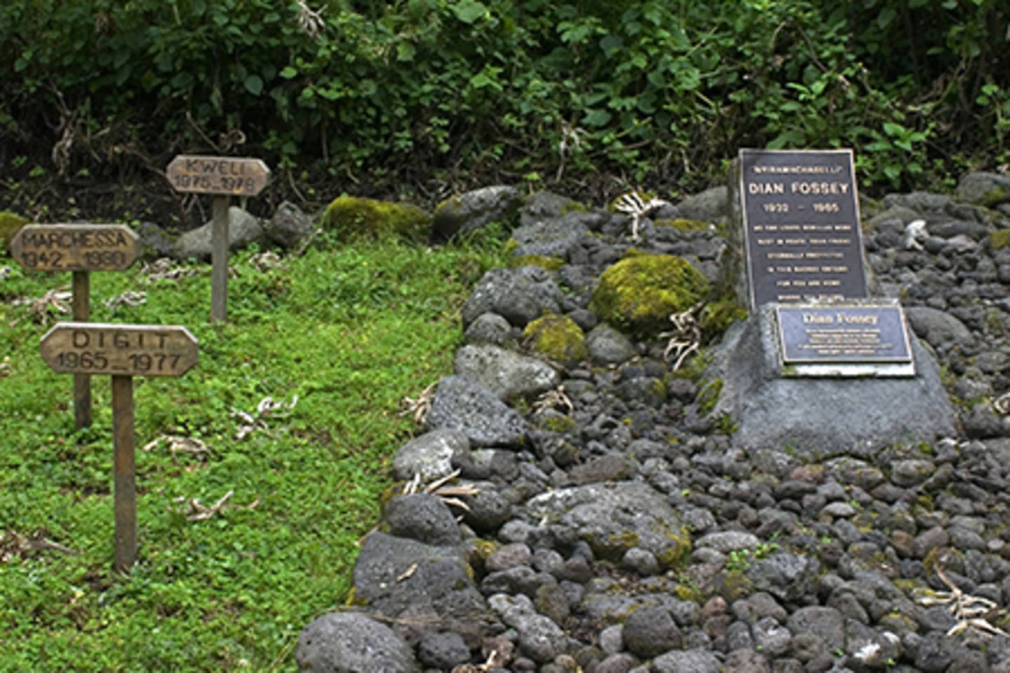 Golf Around the World 2026