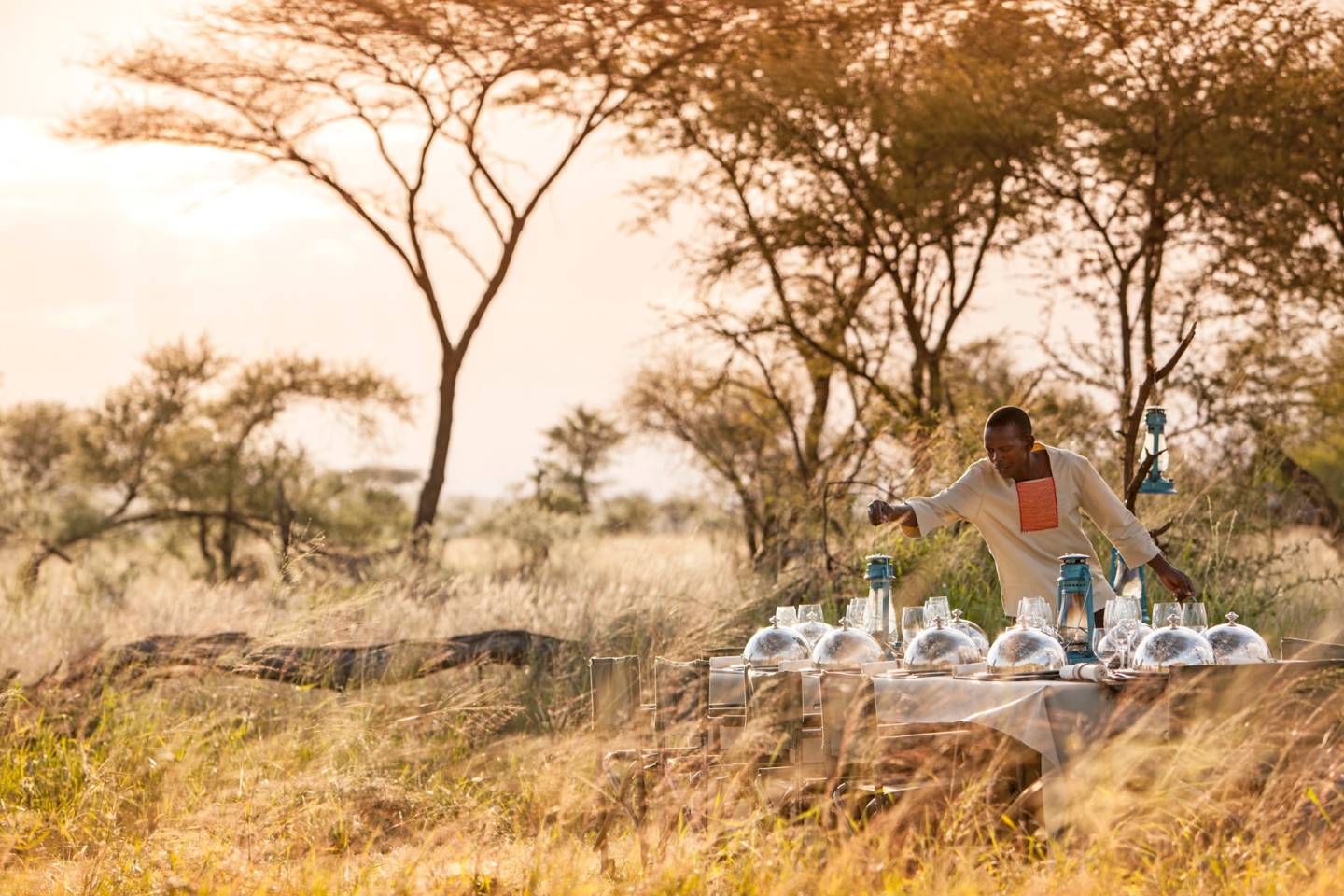 Exploring Africa 2026