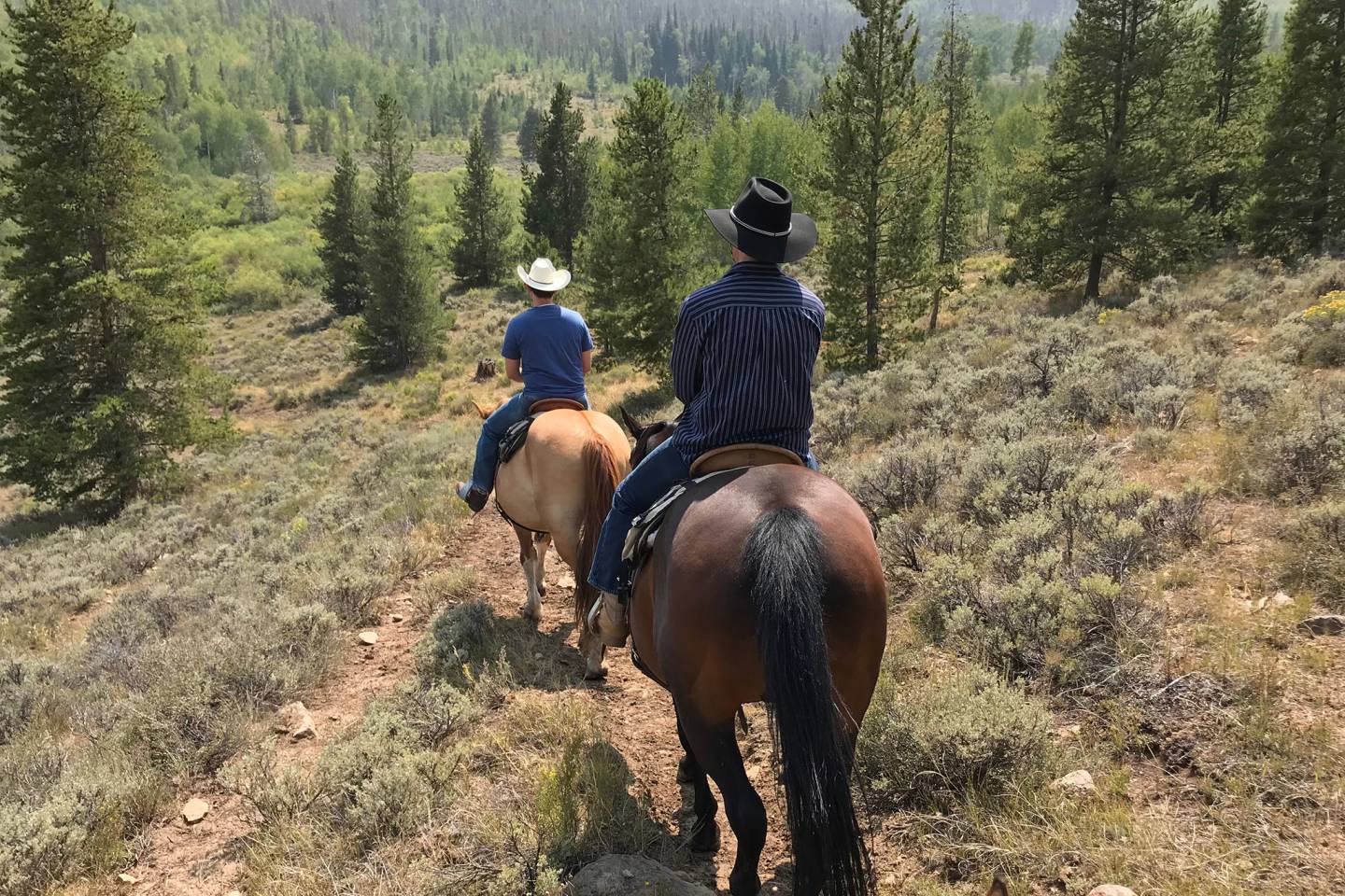 people riding horses in mountains