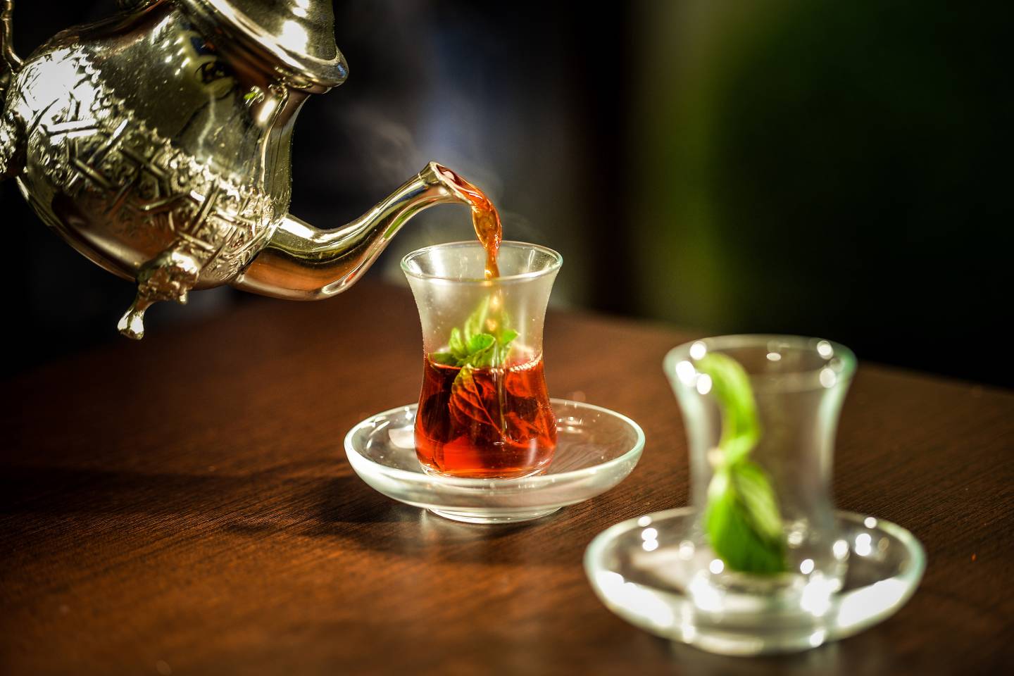 Exploring Africa 2026