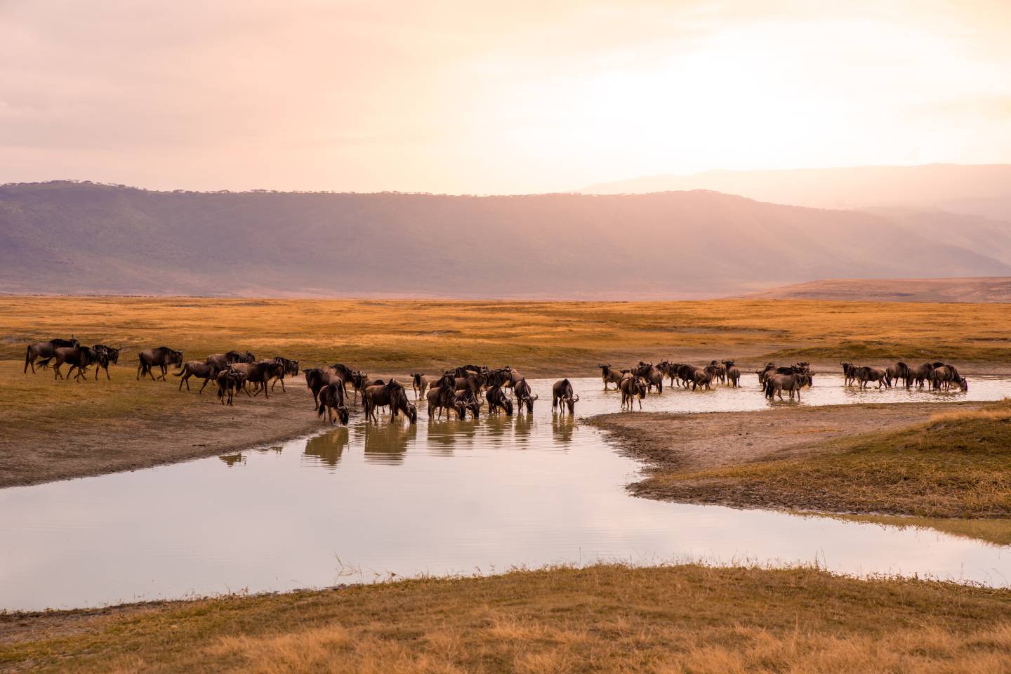 Ngorongoro Crater, Tanzania