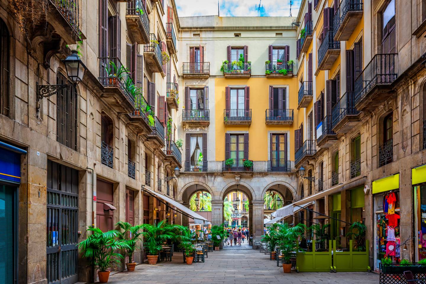 Exploring Africa 2026