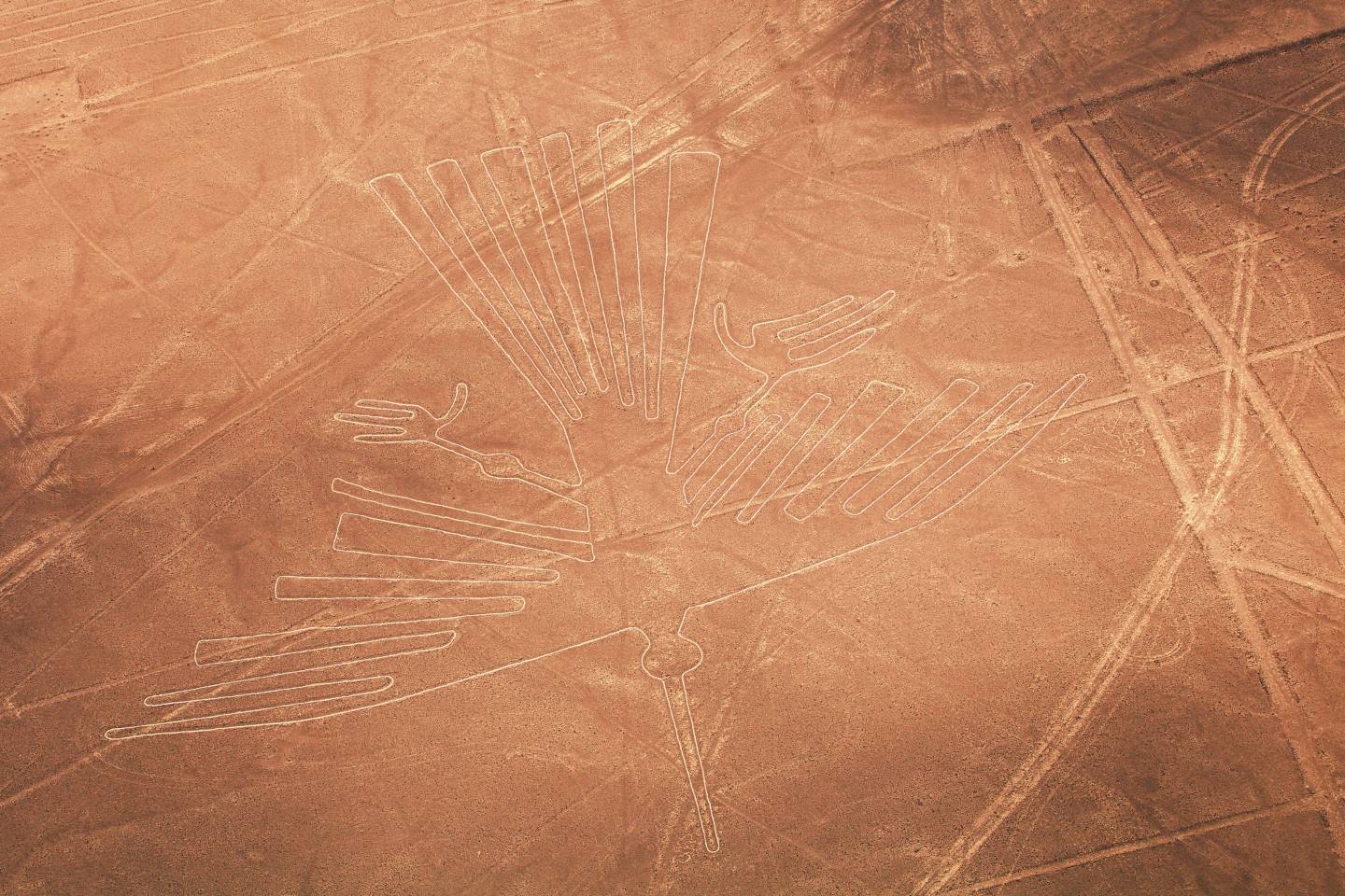 Nazca Lines