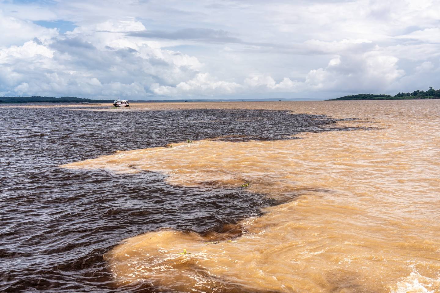 Rio Negro, Solimões