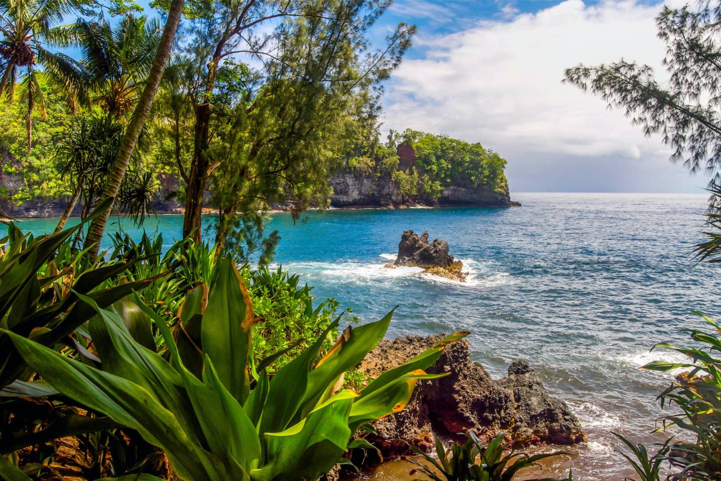 Big Island Hawaii, Kona, Hilo