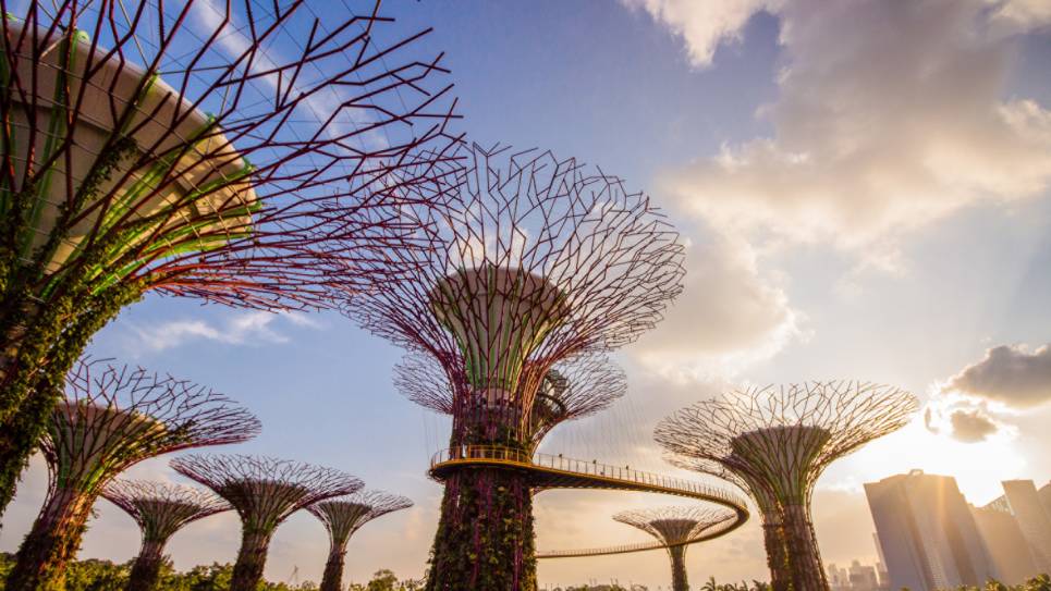 World of Wellness – May 2026